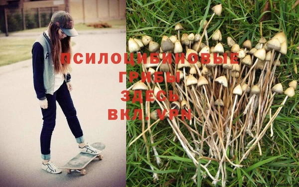 соль курить ск Карталы